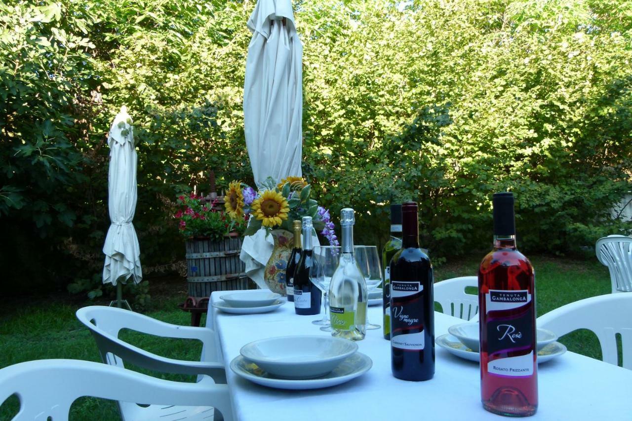 Residence Tenuta Gambalonga Cinto Euganeo 外观 照片